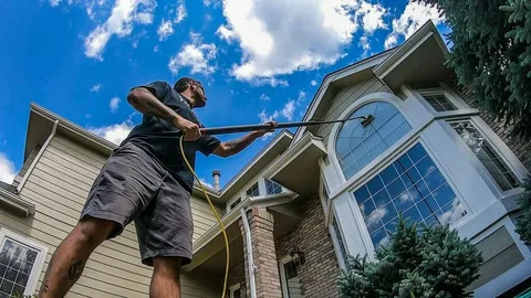 Residential pest control